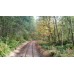 Fall Begins - Saturday, Sept 27