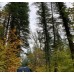 Fall Begins Run, Saturday, October, 3rd Fall Begins Run, Saturday, October, 3rd