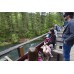 Mother's Day Wine Train Saturday May 12